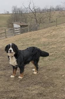 Max