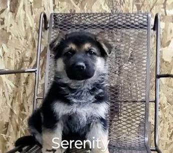 Serenity