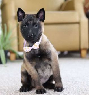 Teagan