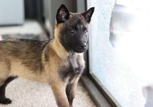 Teagan