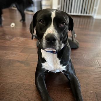 Jax