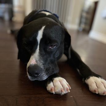 Jax