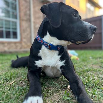 Jax