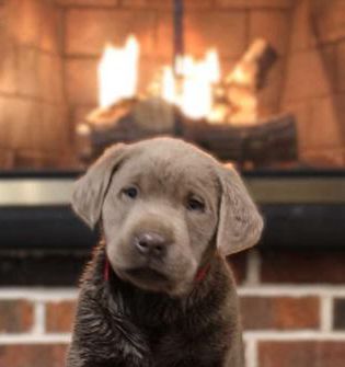 Jed