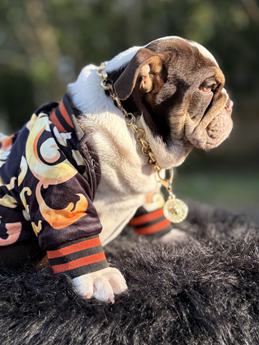 Little Pee-tee