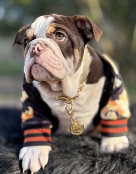 Little Pee-tee