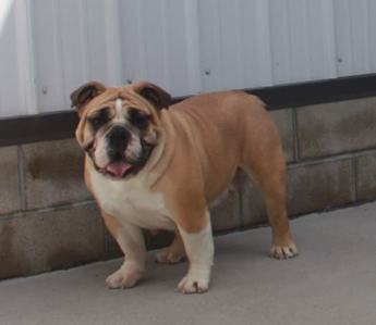 Max
