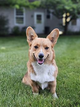 Oliver