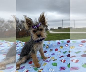 Stormy