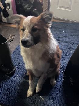 Benny