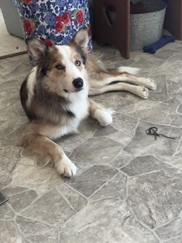 Benny