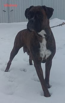 Greta