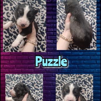 Puzzle