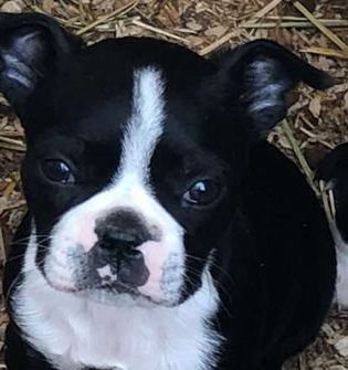 tucker