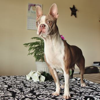 Amy