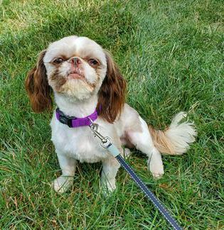 Coco