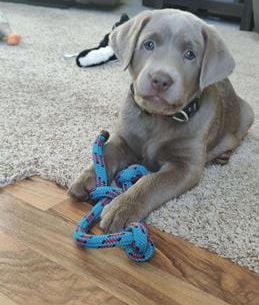 Copper