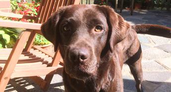 Copper