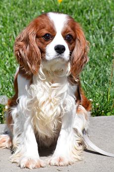 Jethro