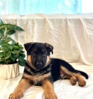 Max