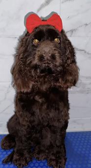 Max