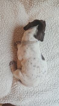 Mia