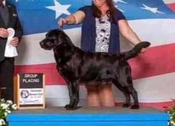 Peggy