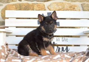 Tucker
