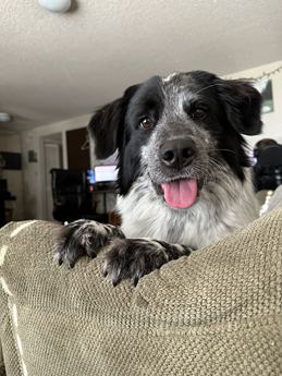 Wink
