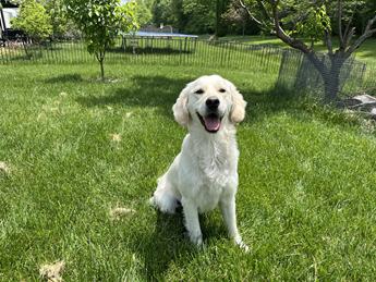 Bella