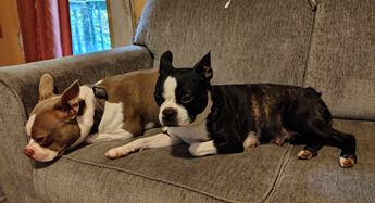Chunkers