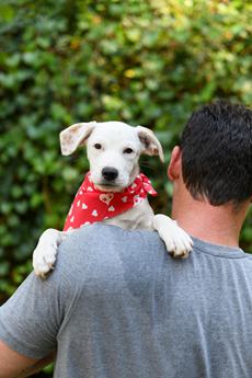 Skylar (Coming Soon) - Puppy Area
