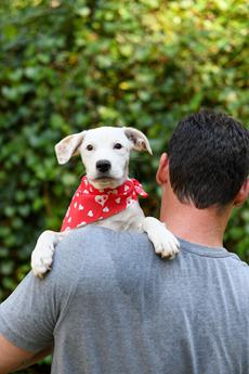 Skylar (Coming Soon) - Puppy Area